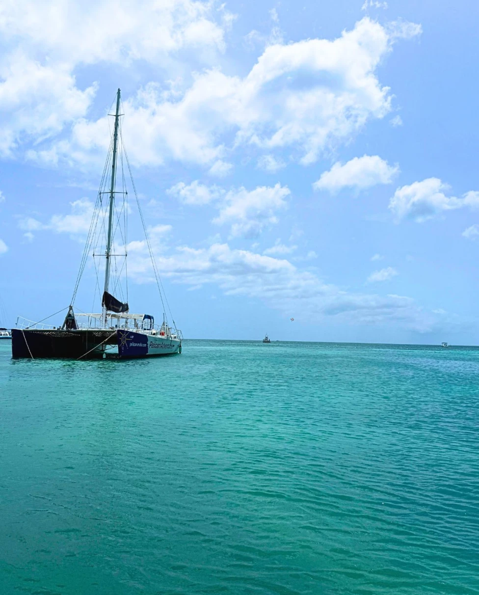 Advisor - Aruba Travel Guide: Sun, Sea & Desert Beauty on One Happy Island