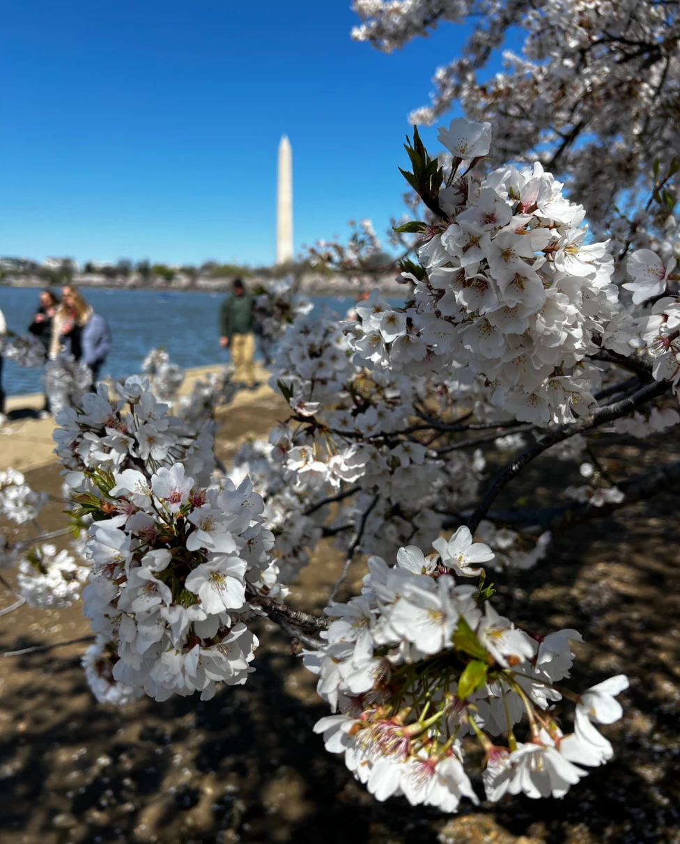 Advisor - One Fun Birthday Weekend in Washington, DC