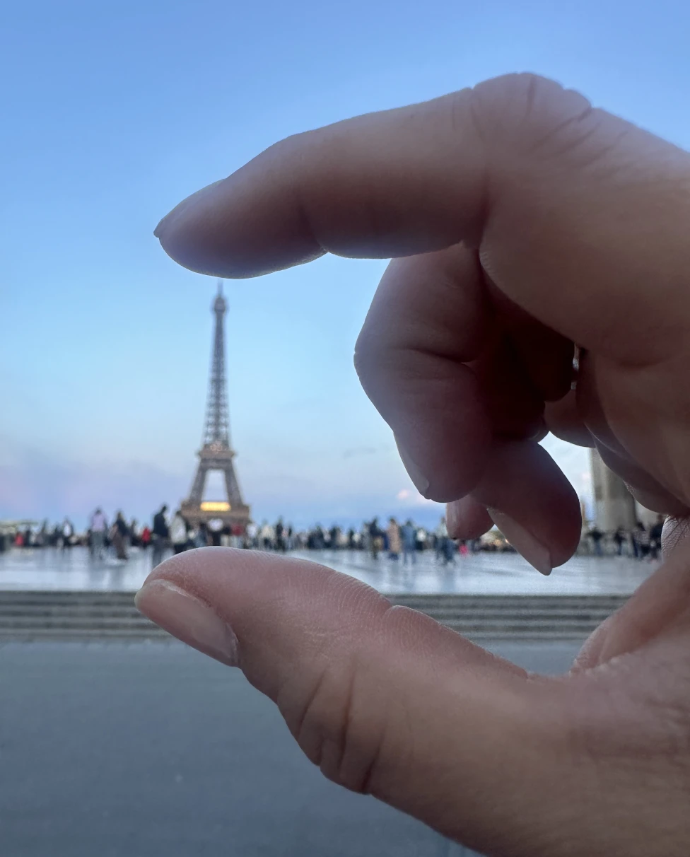 Advisor - Croissant & Culture