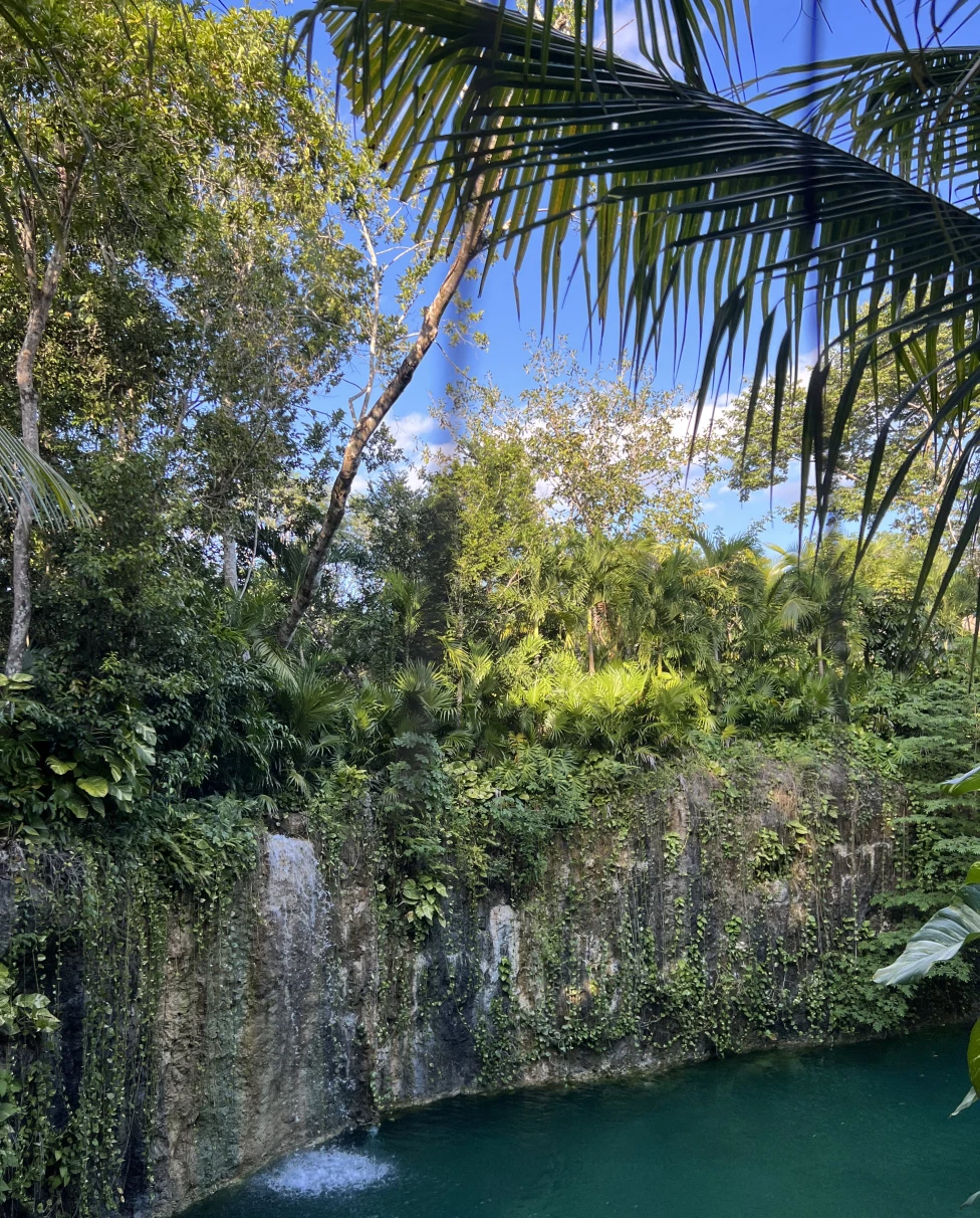 Advisor - Sacred Waters: A Cenote Guide to the Riviera Maya