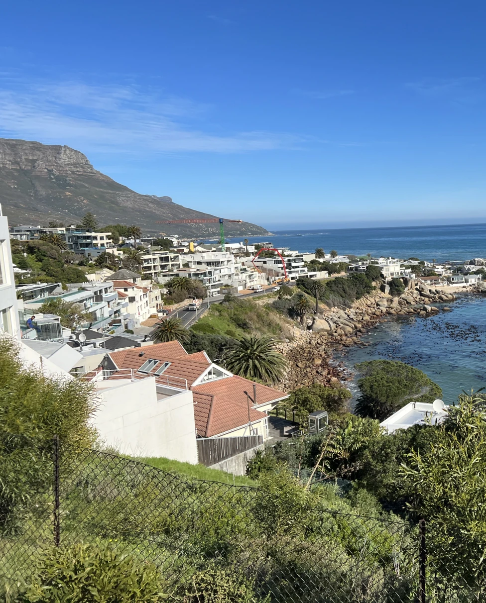 Advisor - A Summer Trip to Cape Town, South Africa