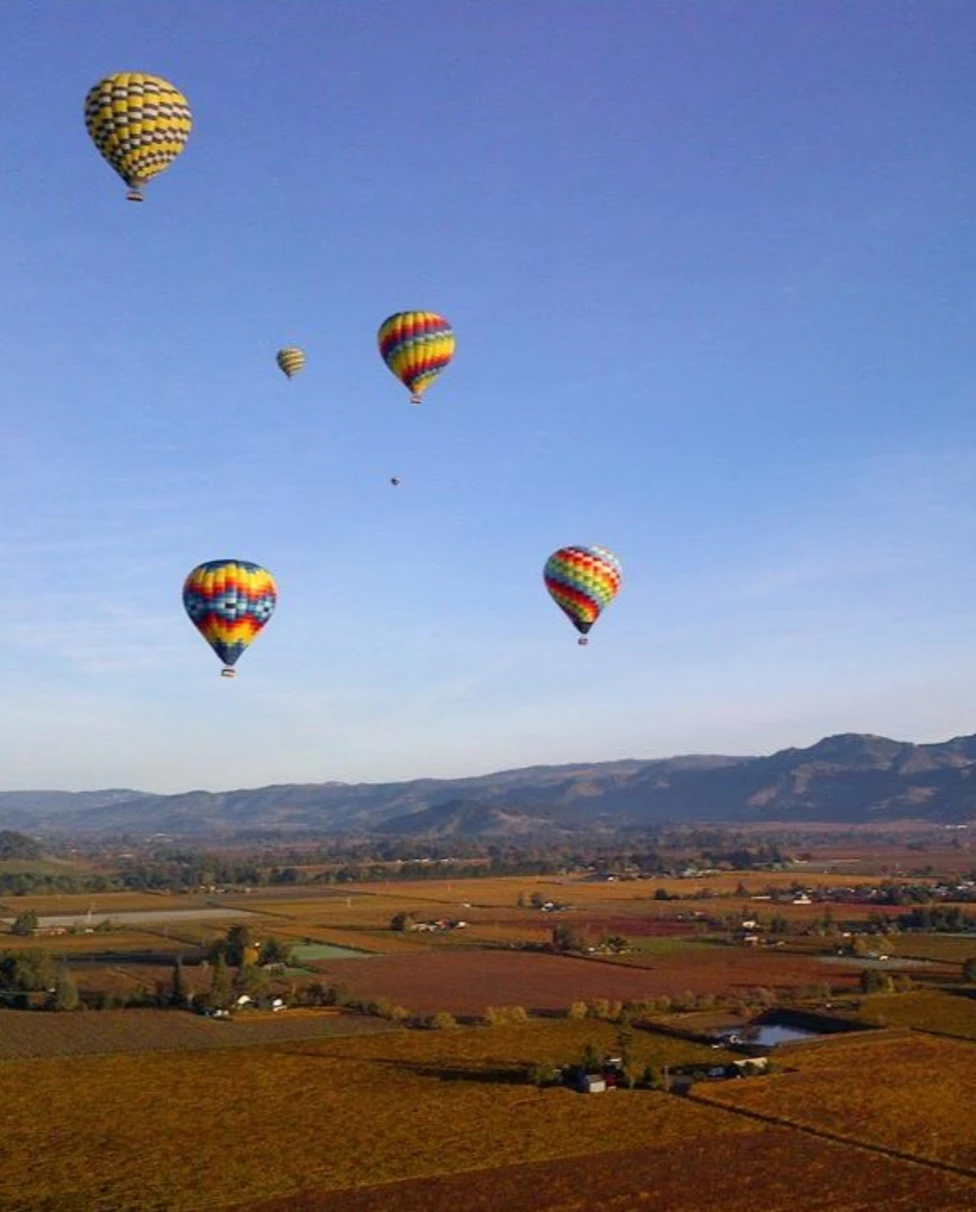 Advisor - A Walkable Wine Country Escape: Yountville, California