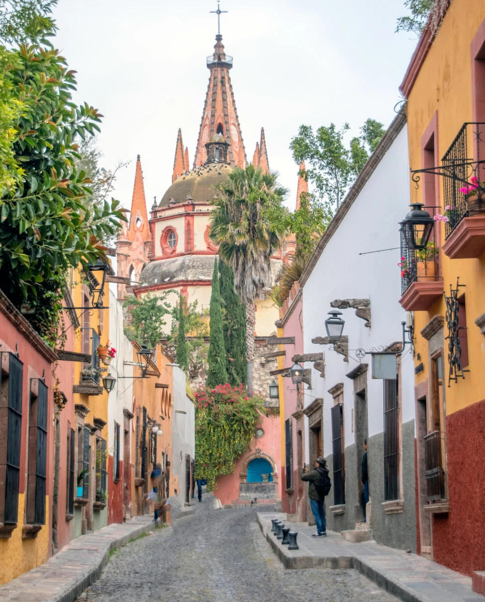 Advisor - A Vegan’s Guide to Food, Culture & History in Mexico City