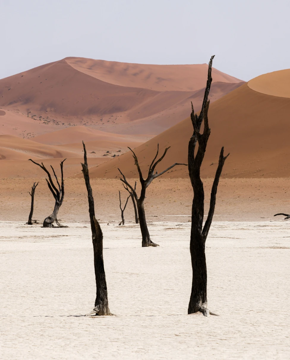 Advisor - Luxury Travel in 2026: Where Travelers Who’ve Seen It All Are Going