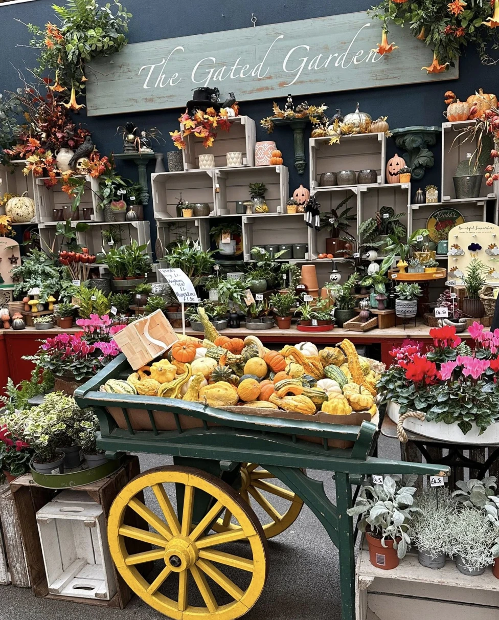 Advisor - Five Days in London: Nine Old Friends From Four Different Continents, One Magical Time