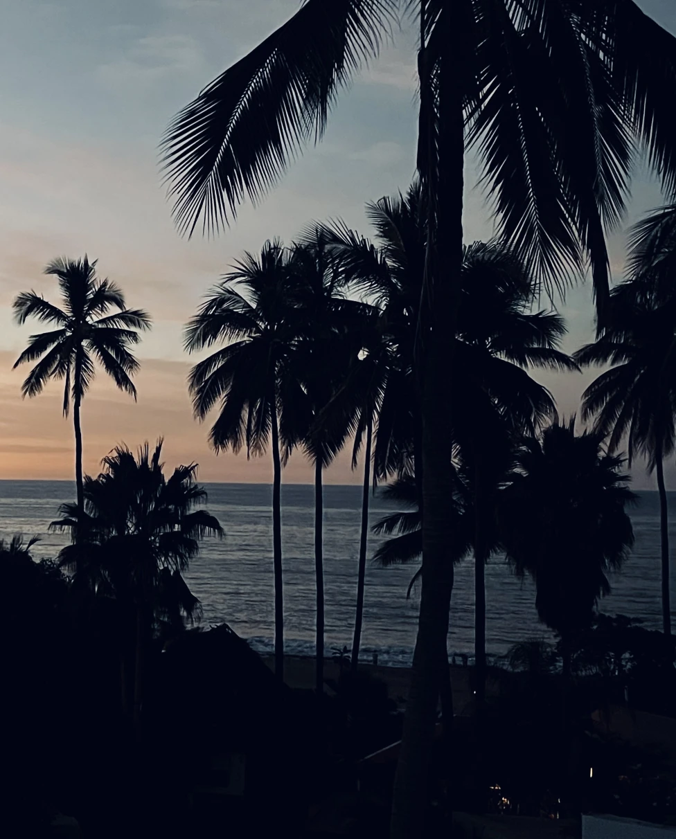 Advisor - Colorful Streets & Coastal Retreats: A Guide to Sayulita and San Pancho