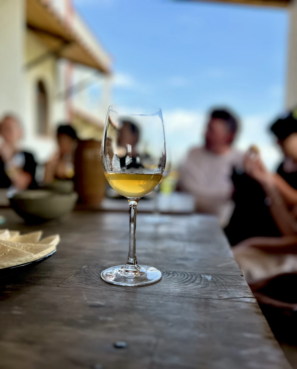 Advisor - Georgia's Wine Country: A Journey Through Ancient Vineyards & Living Traditions