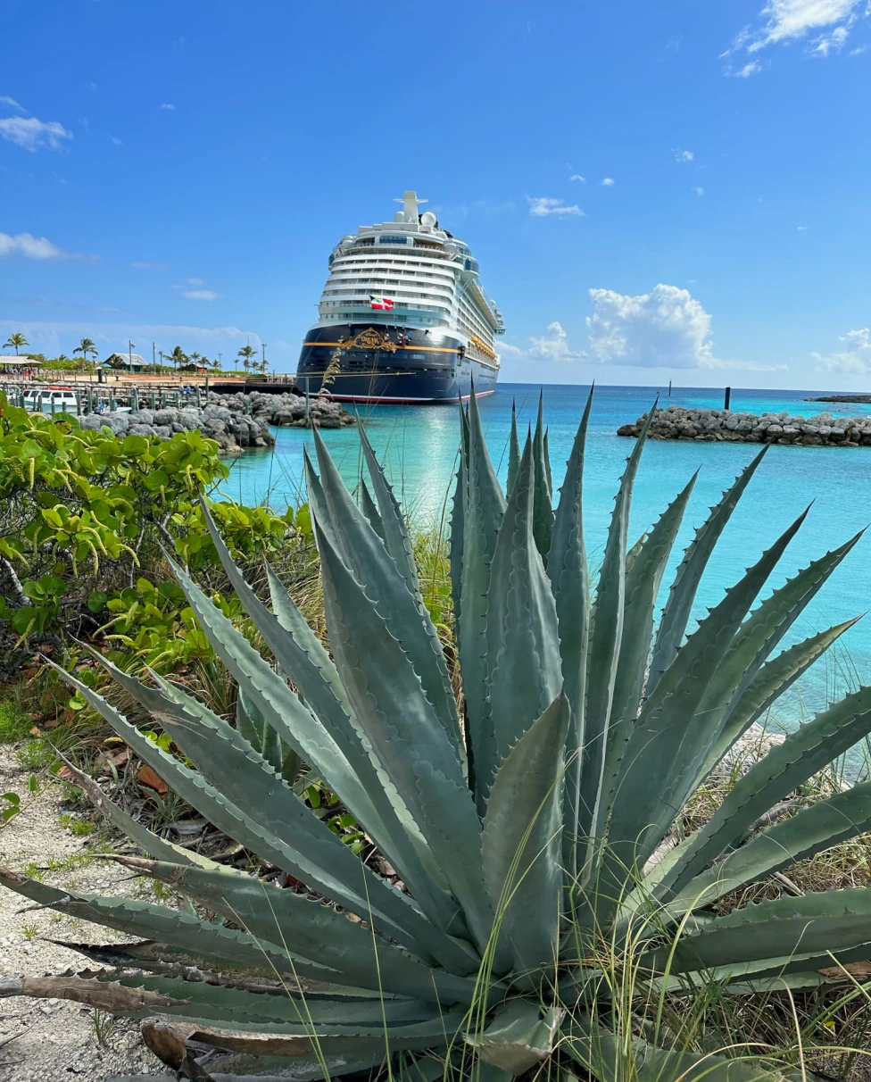 Advisor - Disney Cruises: The Ultimate Luxury Family Escape for Busy Professionals