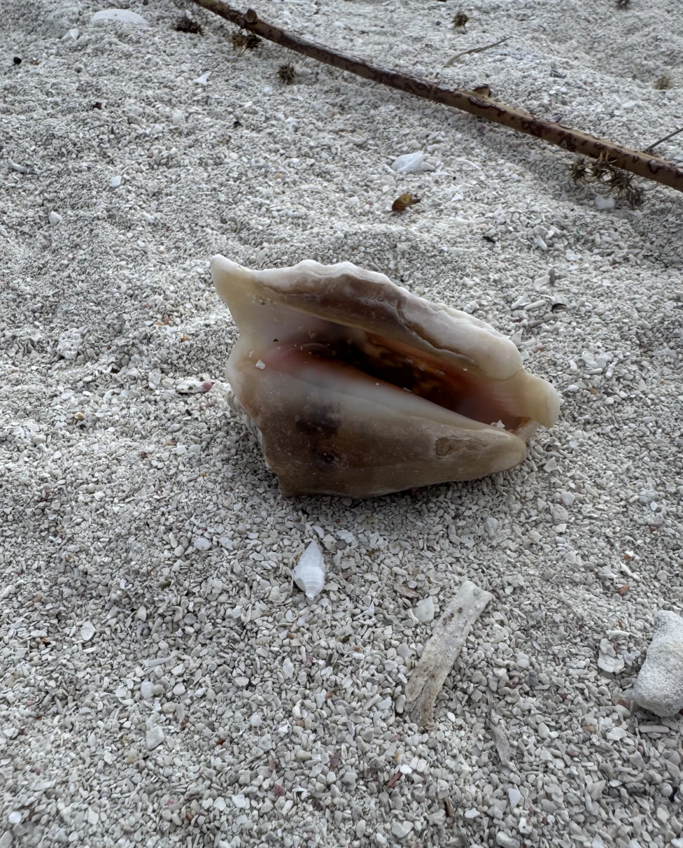 Advisor - Marathon, Florida: What to Do & Where to Eat