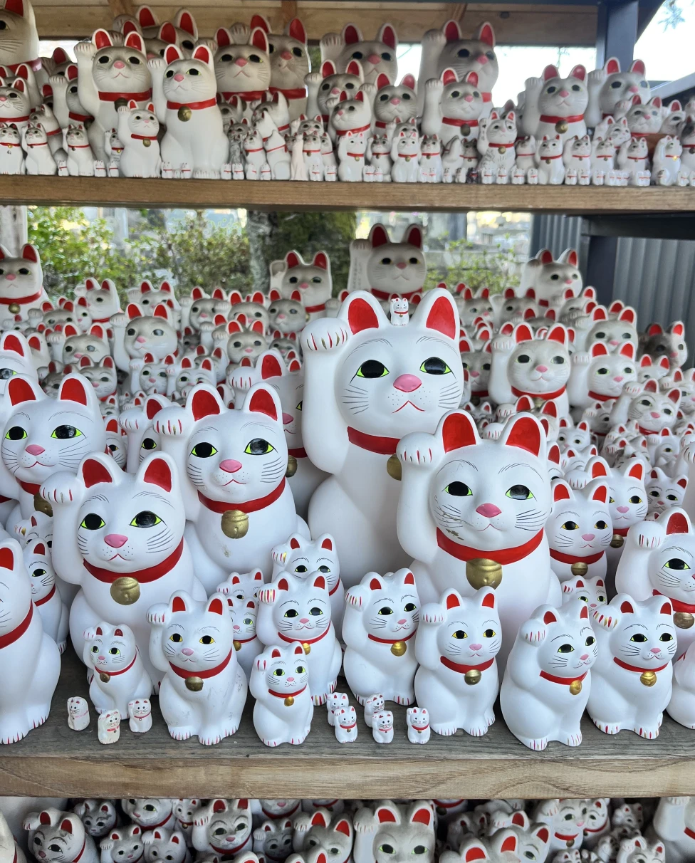 Advisor - Tokyo: Endless Adventure in Japan's Capital City