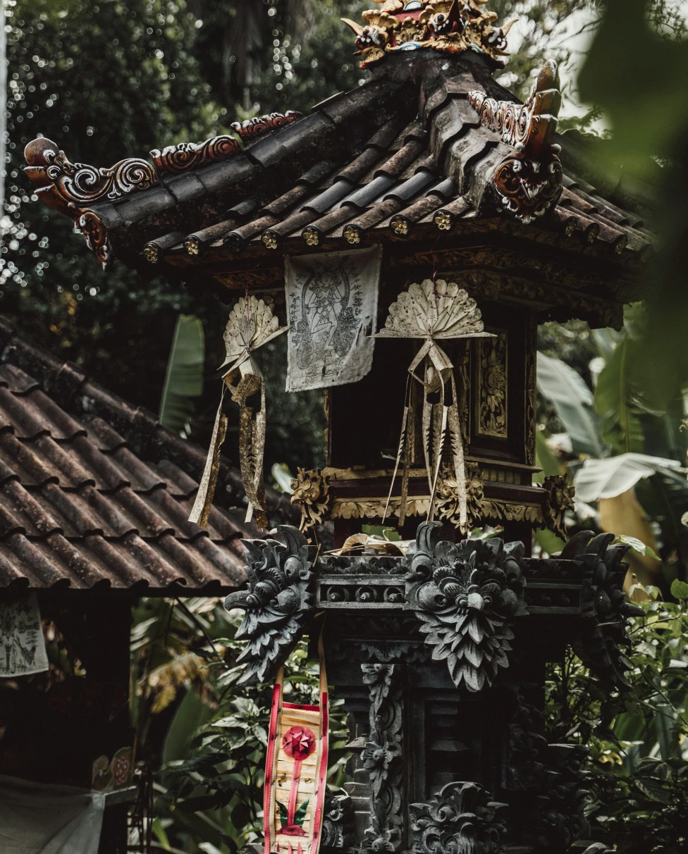 Advisor - The Best of Bali