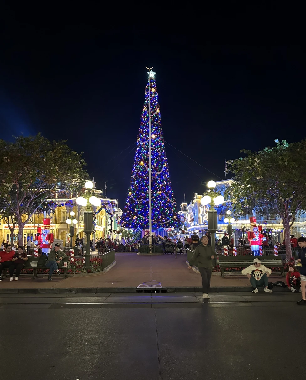 Advisor - A Magical Dream Trip to Walt Disney World