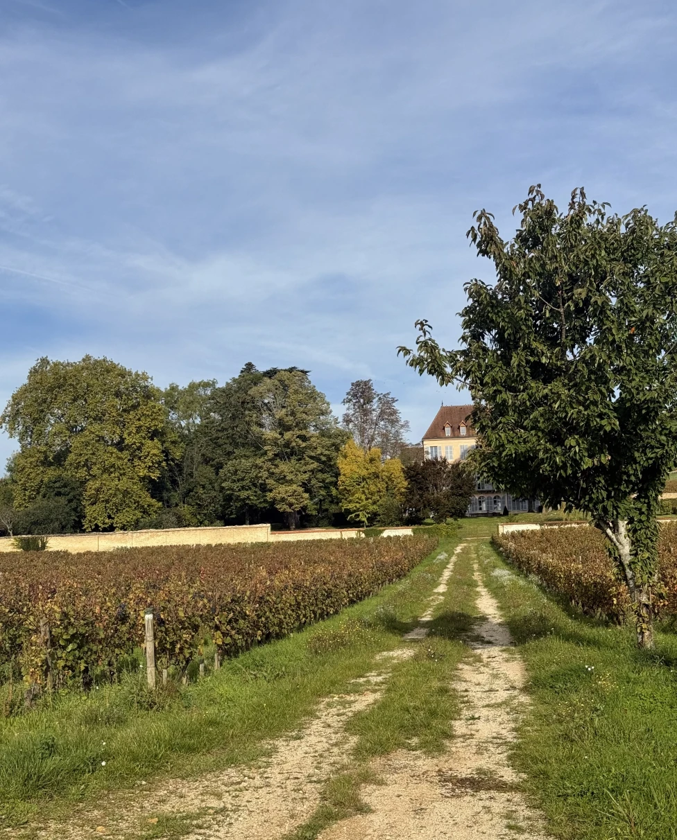 Advisor - Beaune, Burgundy: A 2-Day Journey Through France’s Wine Heartland