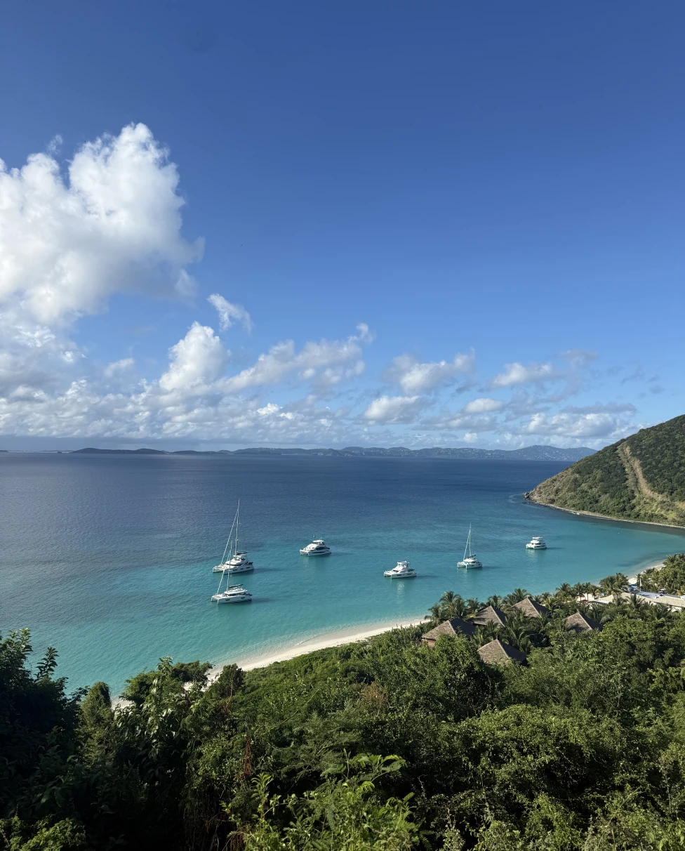 Advisor - Painkillers & Paradise: A Day on Jost Van Dyke in the British Virgin Islands