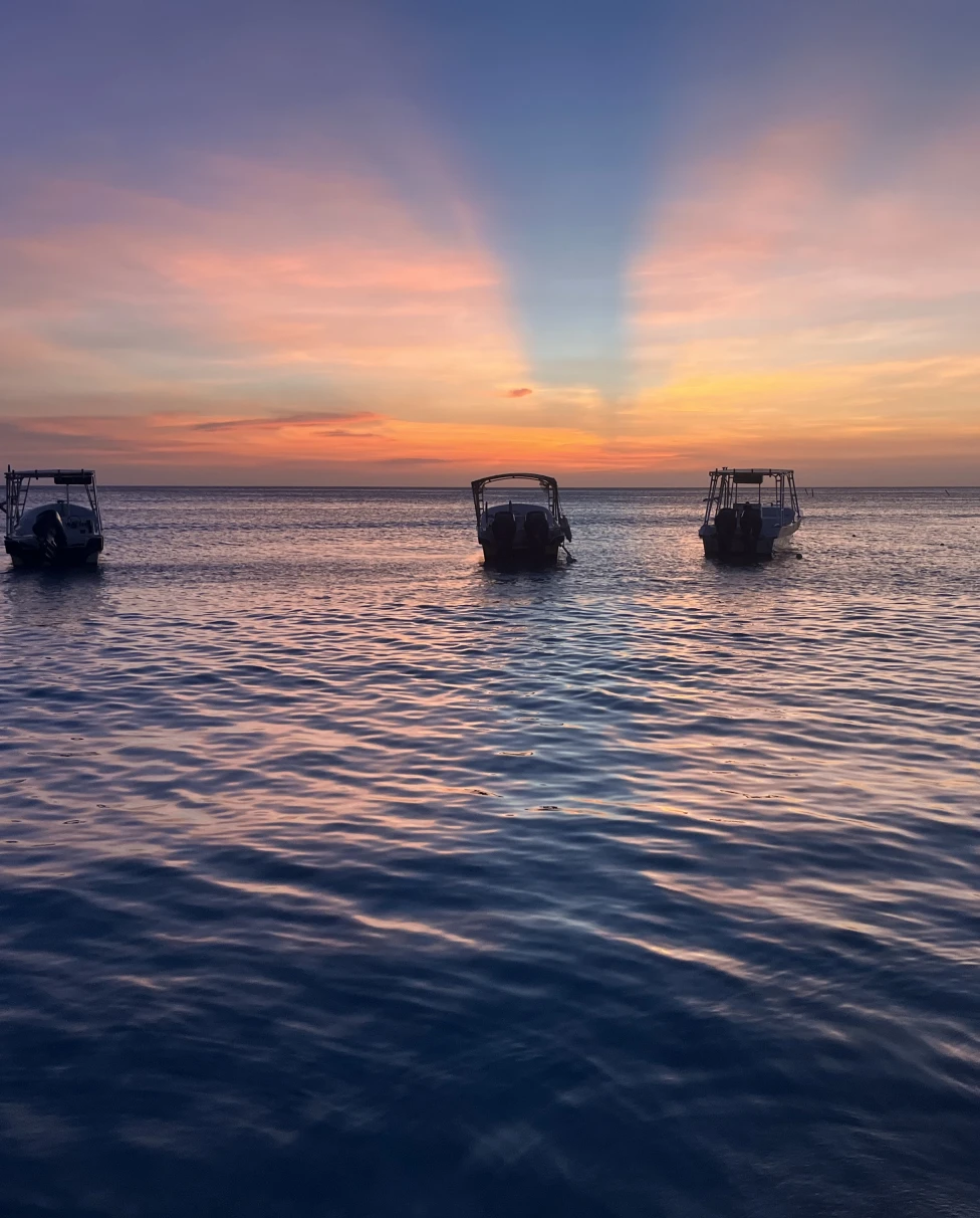 Advisor - Roatán Unfiltered: A Guide to Honduras’ Coolest Island