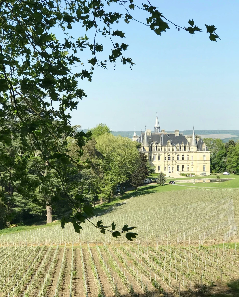Advisor - The Loire Valley: A Romantic Weekend Escape from Paris