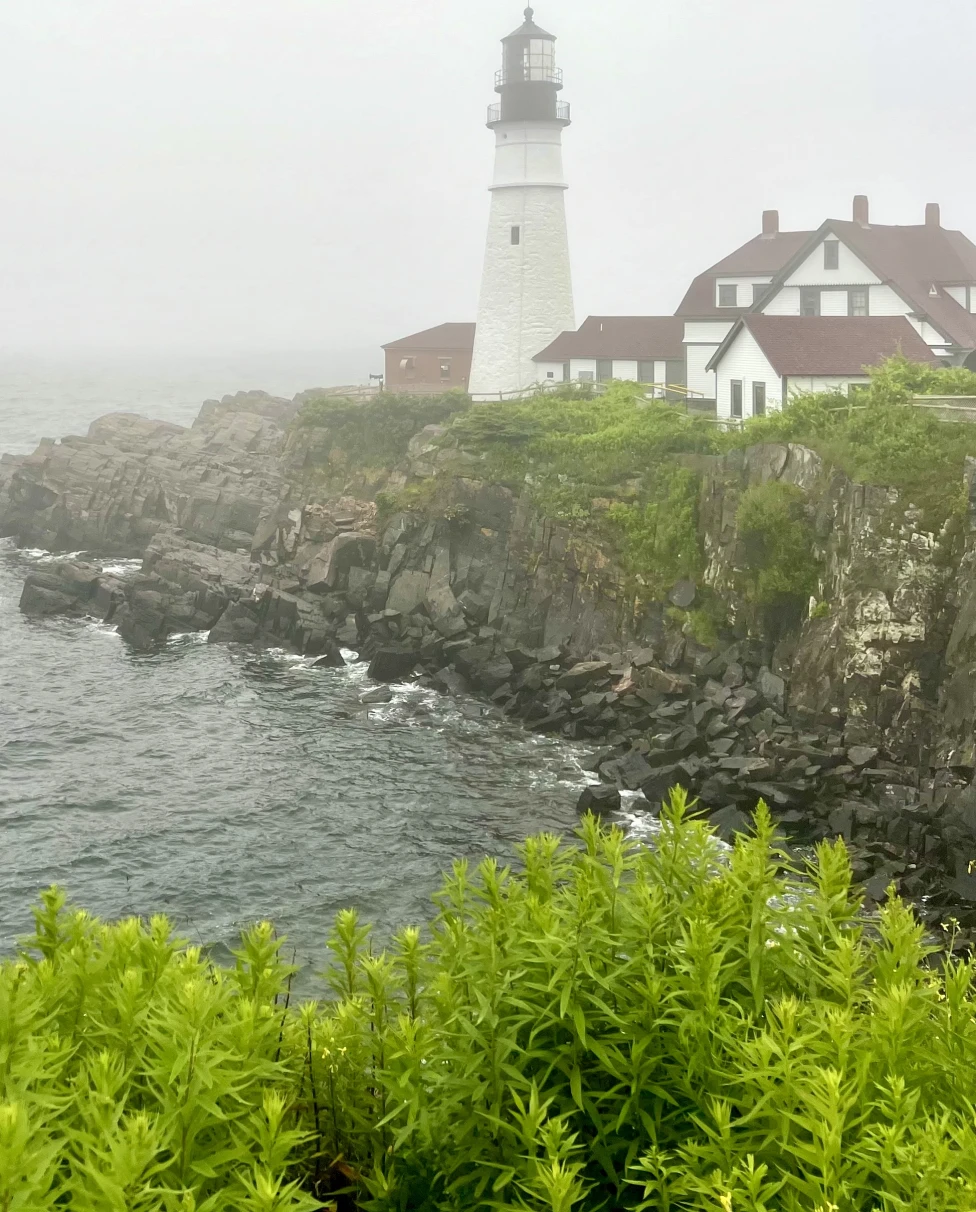 Advisor - A Laid-back Guide to Maine