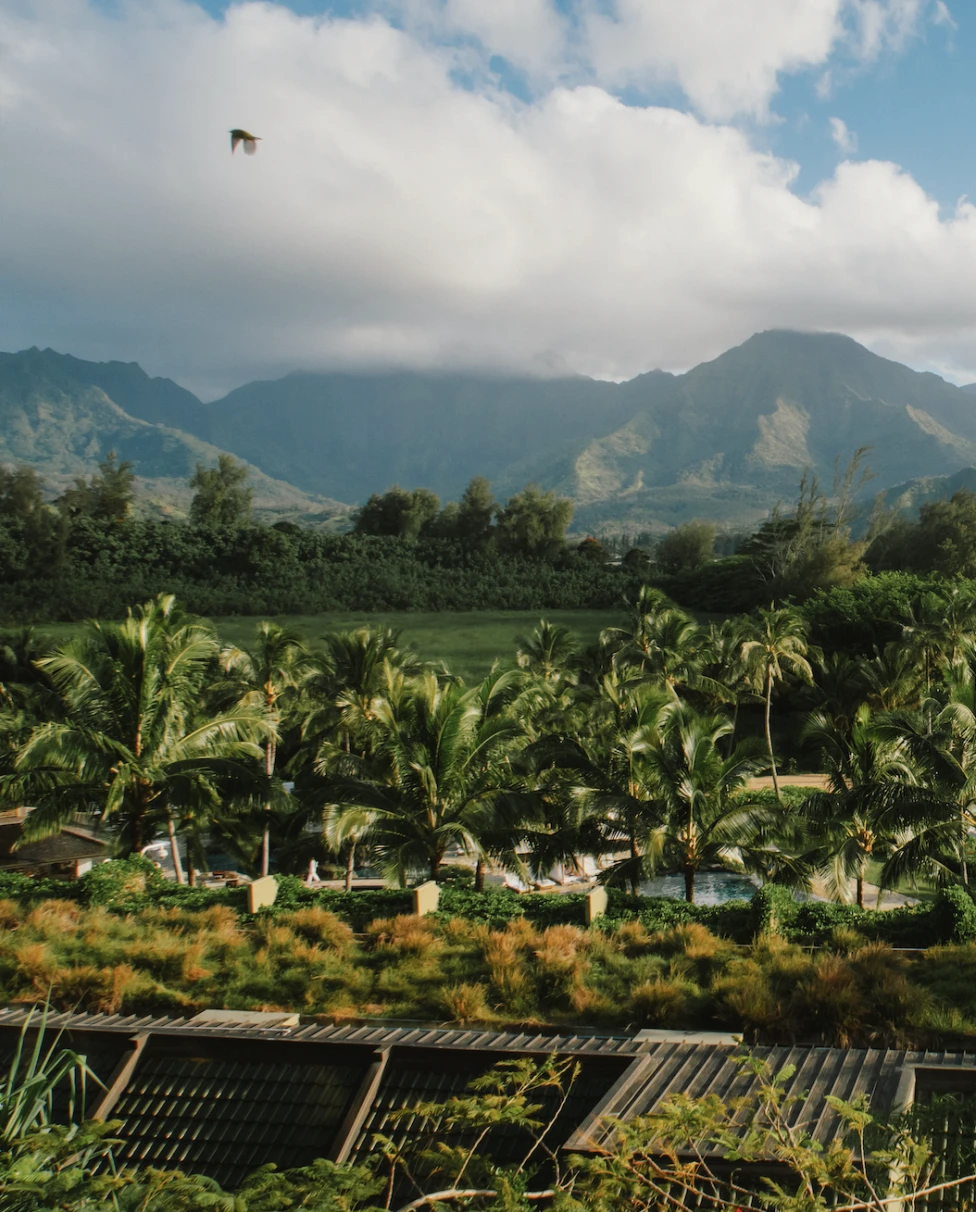 Advisor - One Week In Kaua’i: The Ultimate Babymoon Destination