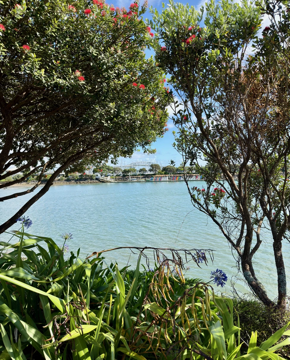 Advisor - 48 Hours in Auckland, New Zealand