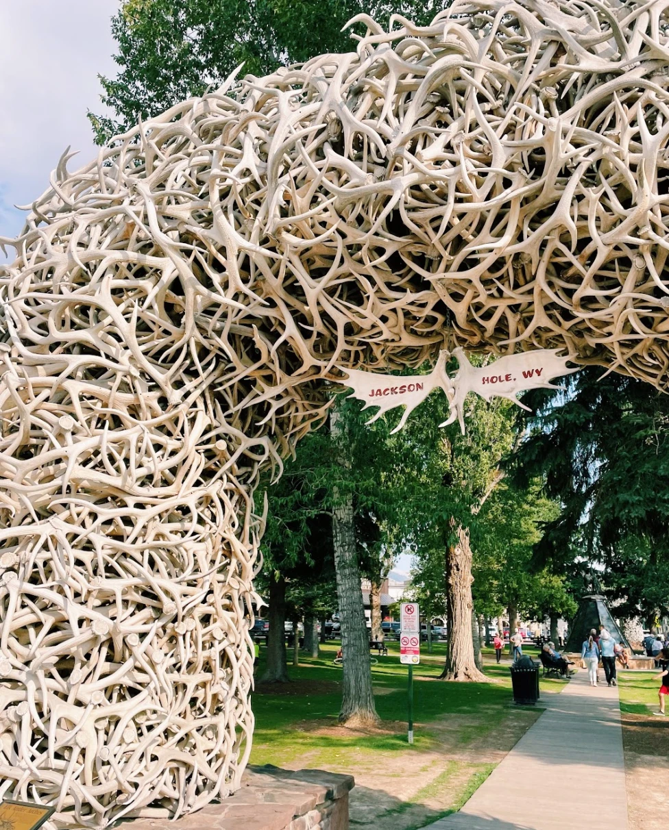 Advisor - A Local's Guide to Jackson, Wyoming: All Seasons