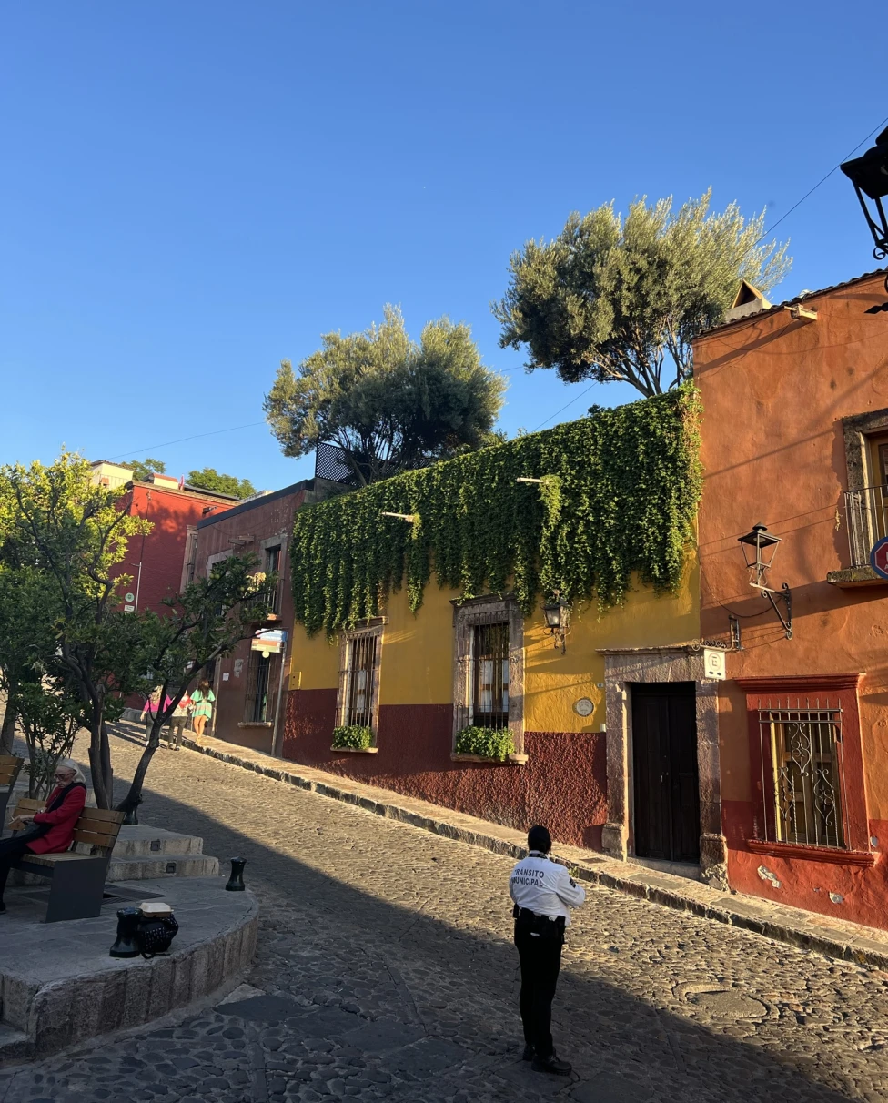Advisor - The Colors of San Miguel de Allende
