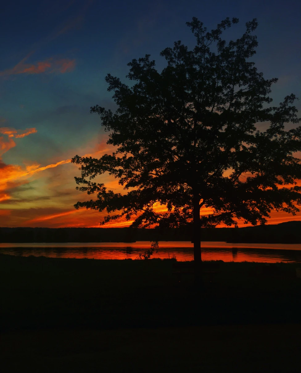 Advisor - Grown Up Here, Still Can’t Stay Away: A Local’s Guide to Lake Guntersville