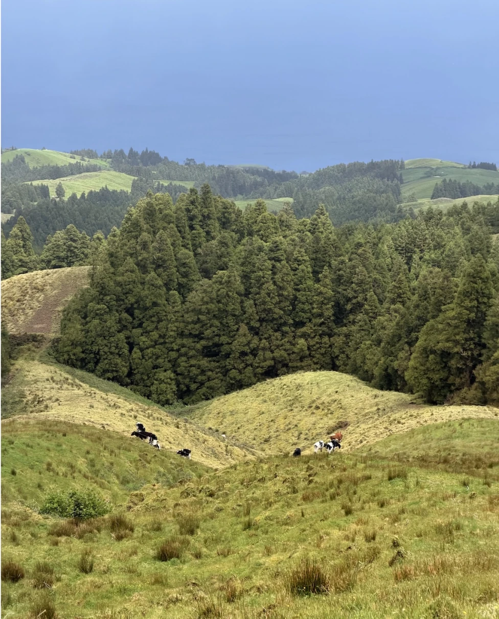 Advisor - São Miguel, Azores: The Best-Kept Nature Escape at the Edge of Europe