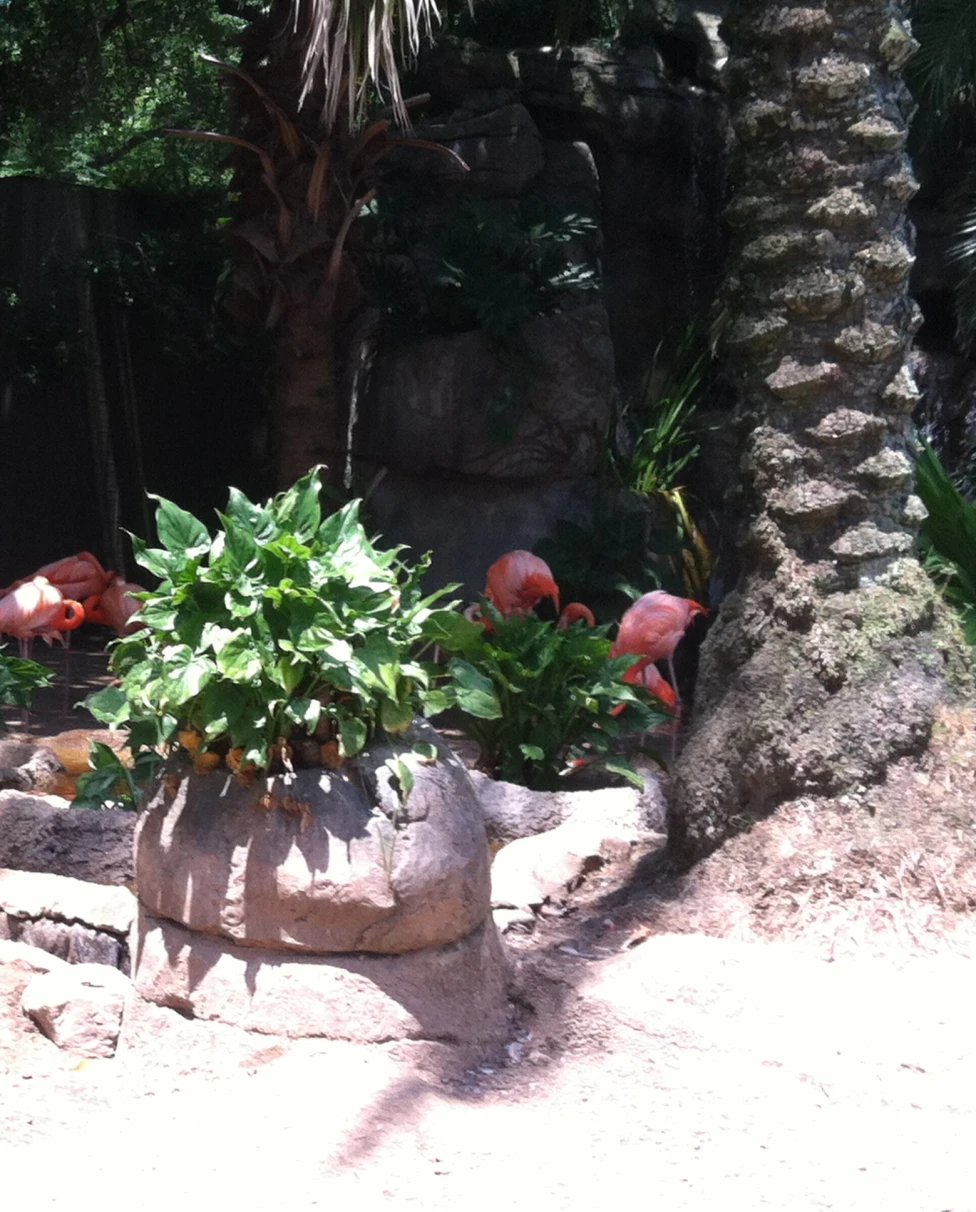 Advisor - Cruise Countdown: Family Fun Weekend in NOLA