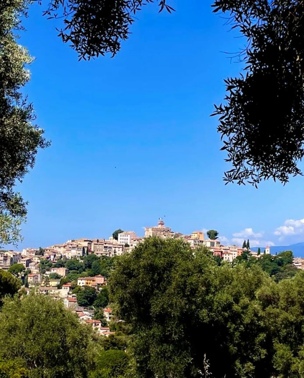 Advisor - Cagnes-sur-Mer: Hidden Gem in the South of France