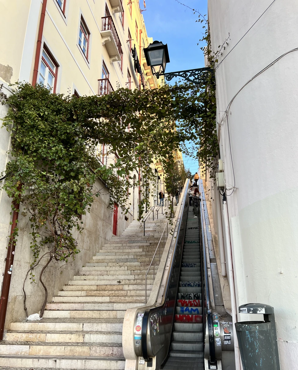 Advisor - A Snack-Sized Adventure: 48 Hours in Lisbon