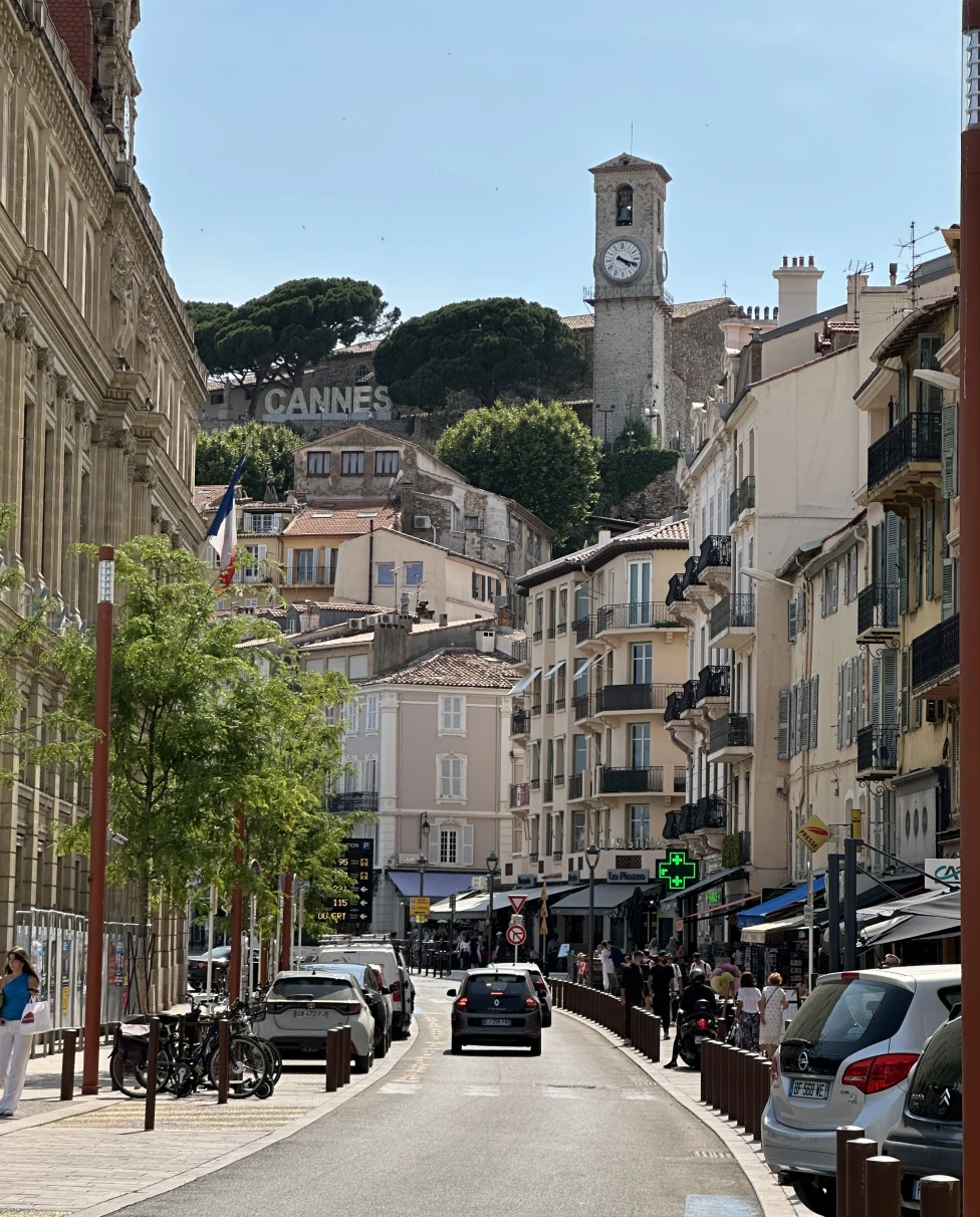 Advisor - Solo Summer in the South of France