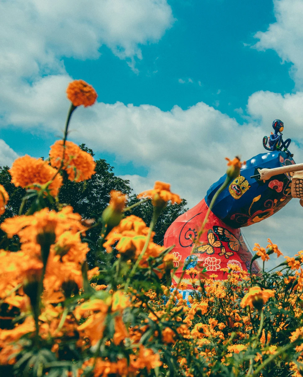 Advisor - The Ultimate Guide to Experiencing Mexico's Day of the Dead (Día de Muertos)