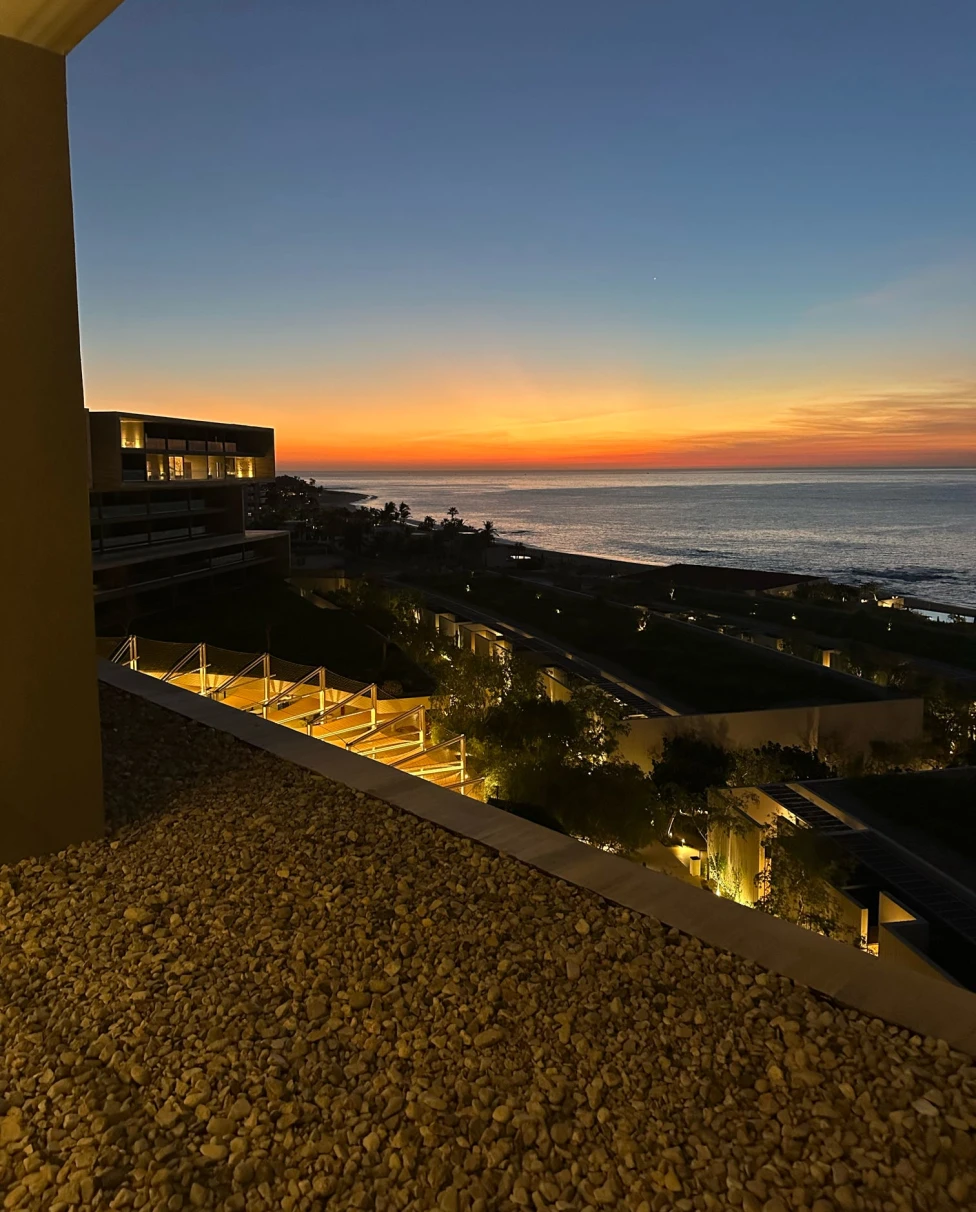 Advisor - An Immersive Travel Guide for Food & Art Lovers in Los Cabos