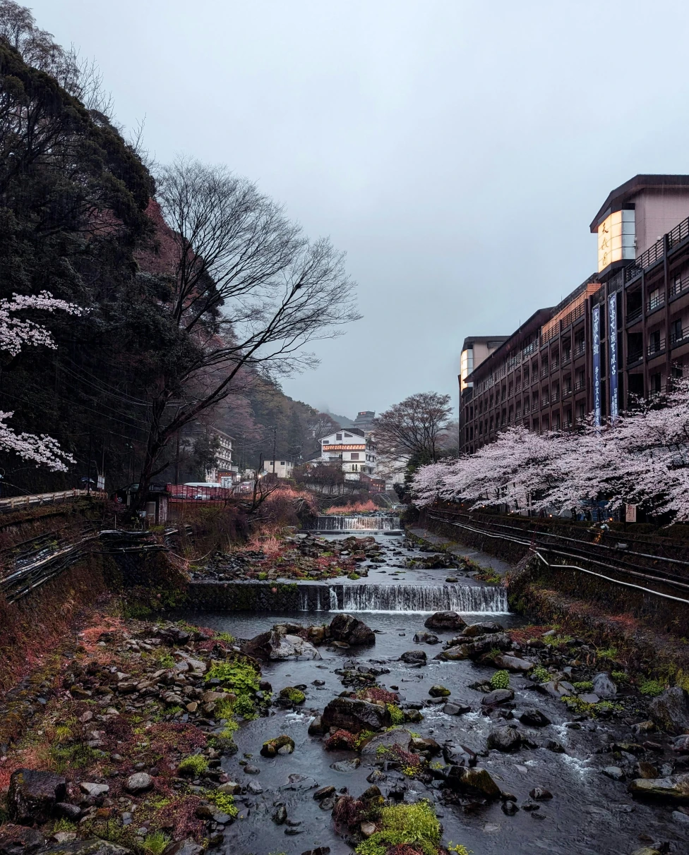 Advisor - A Spoonies Guide to Hakone, Japan