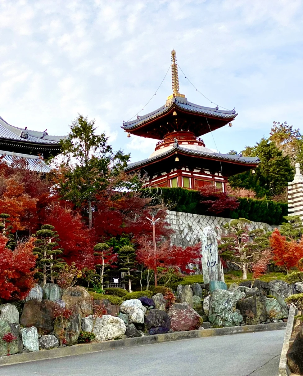 Advisor - Osaka Uncovered: The Ultimate Guide to Must-See Hot Spots