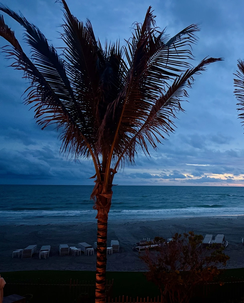 Advisor - Gulf Coast Getaway: Sarasota & Longboat Key