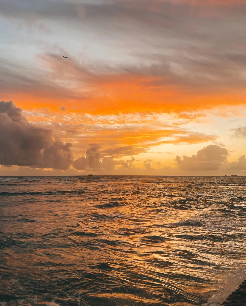 Advisor - The Ultimate Adventure Guide to Oahu