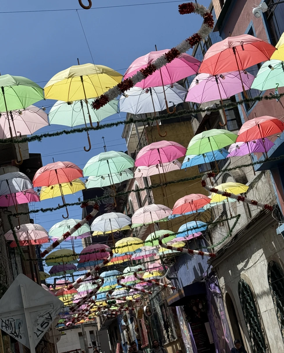 Advisor - Bogotá: The Missing Linke Edition