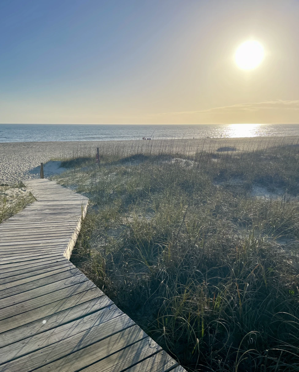 Advisor - Coastal Calm: A Guide to the Car Free Life on Bald Head Island