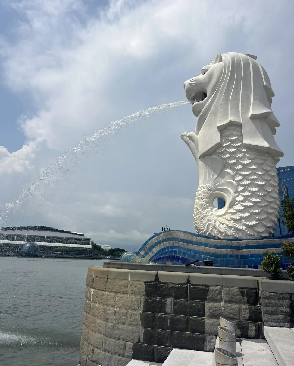 Advisor - Highlights of Singapore