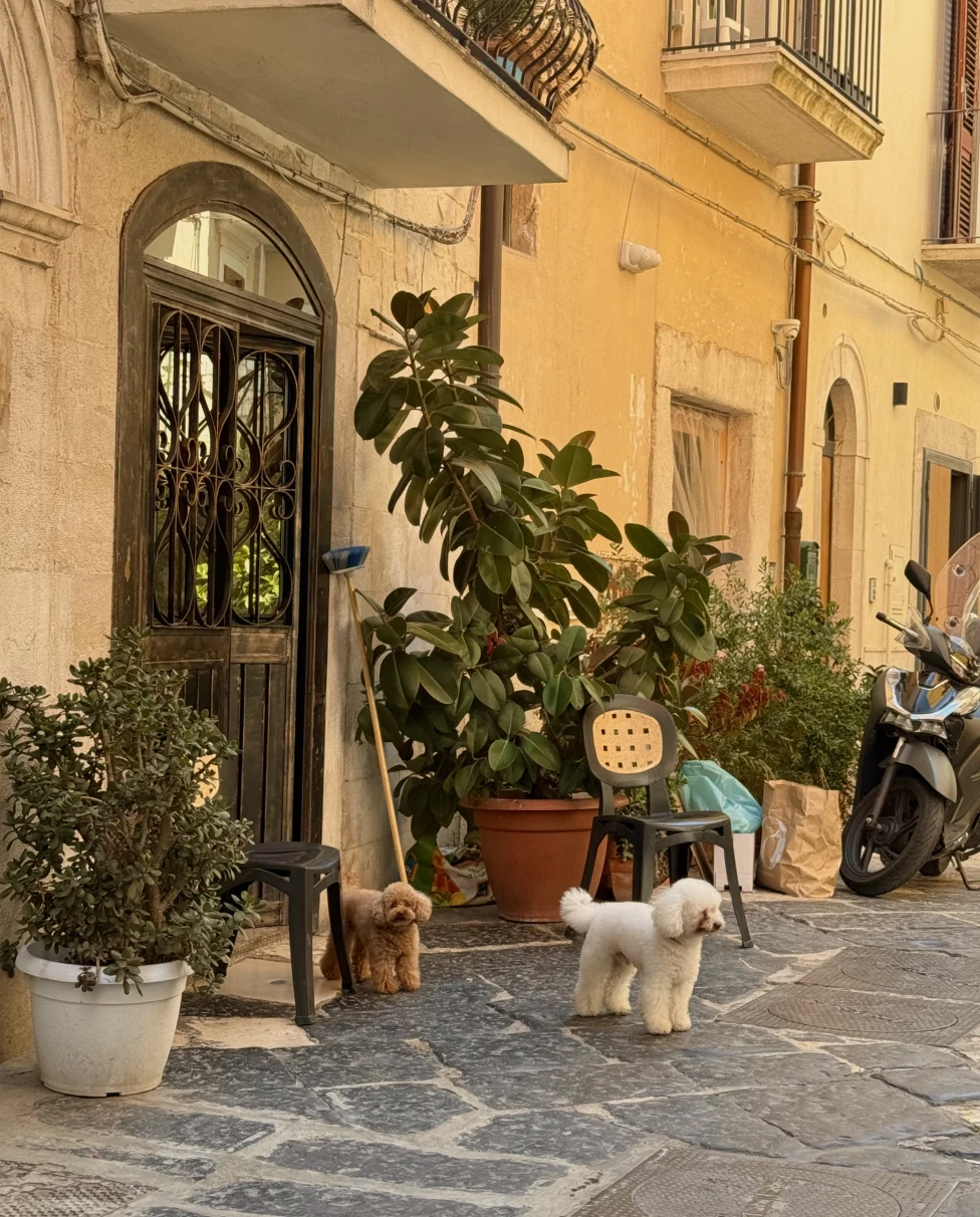 Advisor - Puglia’s Living Art: Pasta, Culture, and the Warmth of Bari