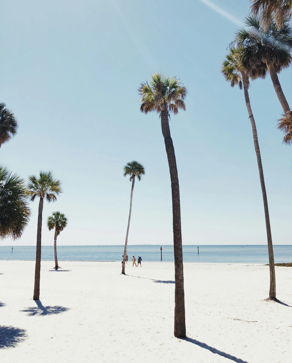 Advisor - A Local’s Guide to Tampa, Florida