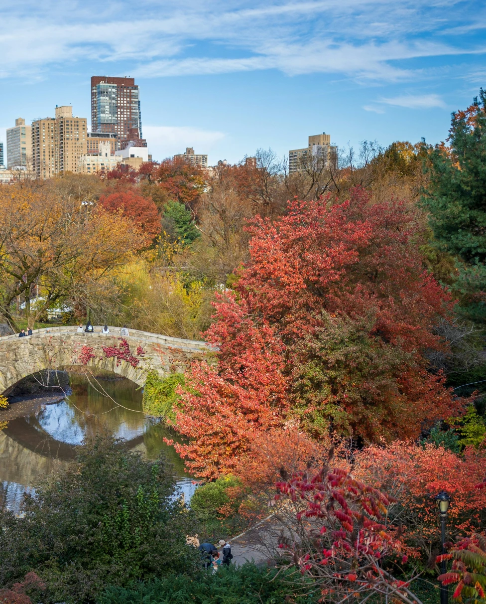 Advisor - Chic in the City: NYC Edition