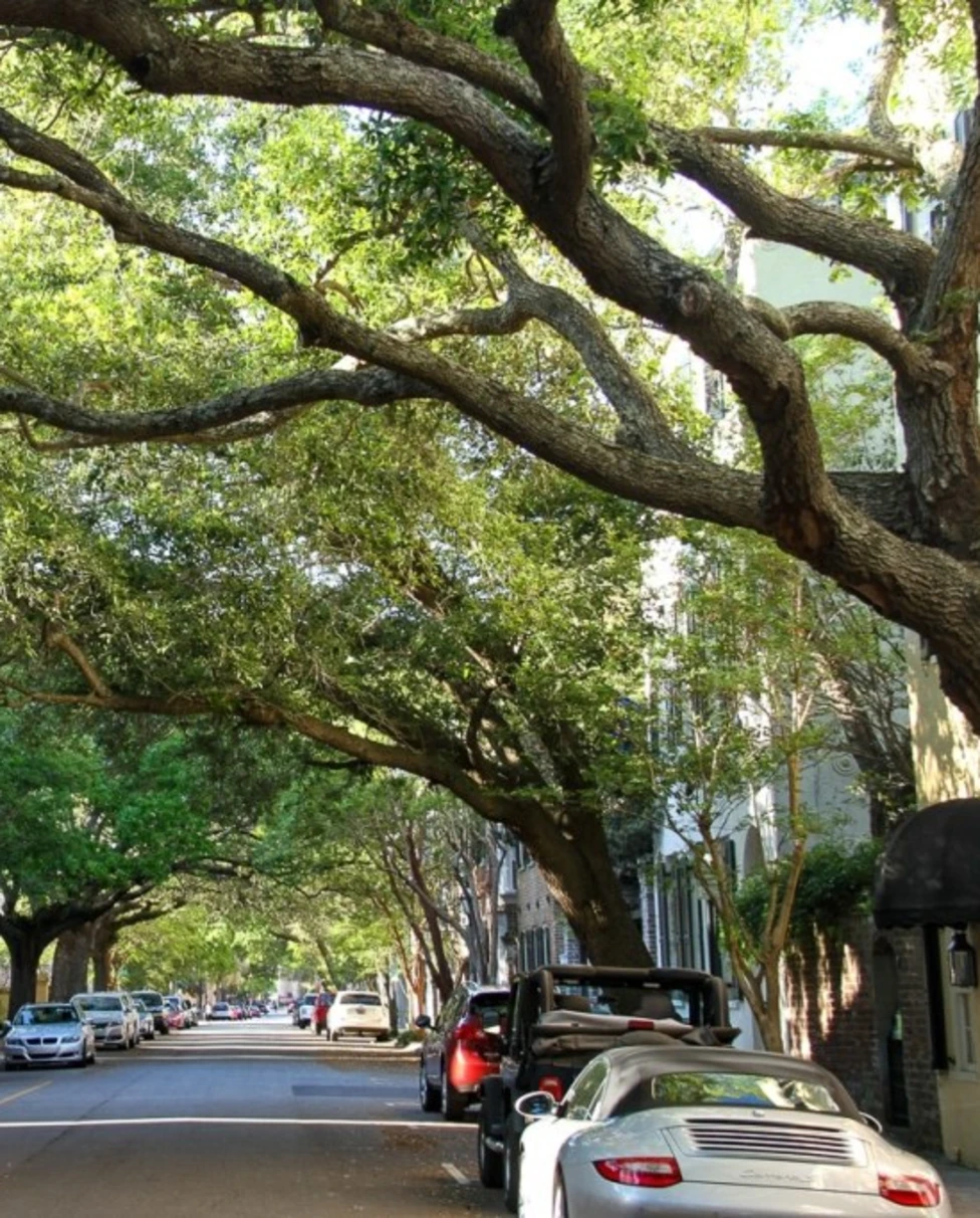 Advisor - 4-Night Stay in Charleston, South Carolina