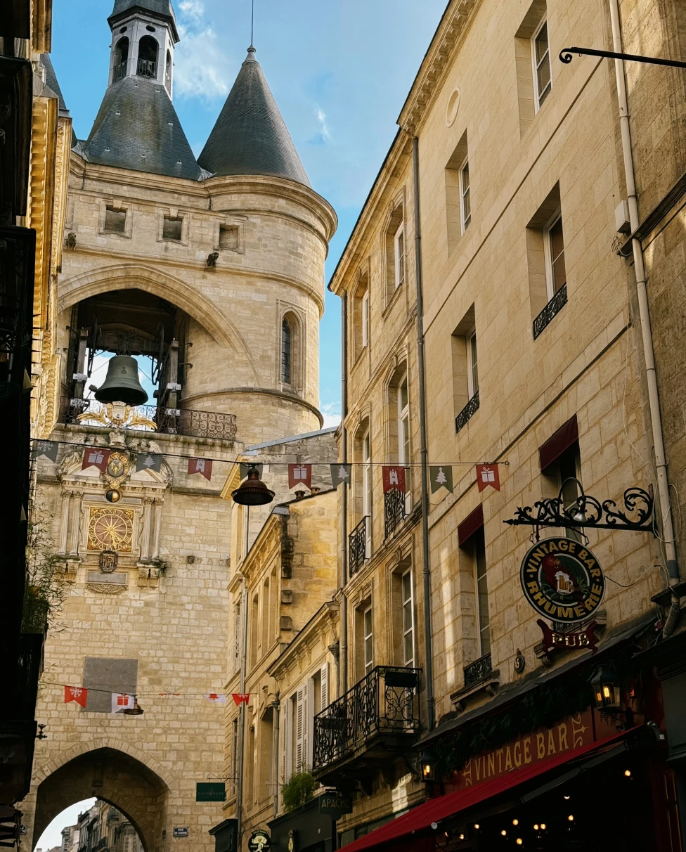 Advisor - Beyond the Vines: Discover the Hidden Gems of Bordeaux