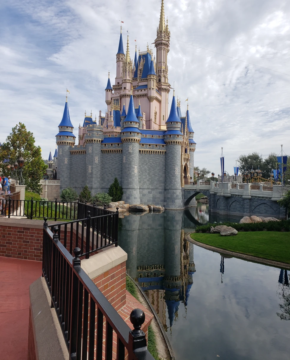 Advisor - Disney World for Grown-Ups: An Insider’s Guide for Disney Adults