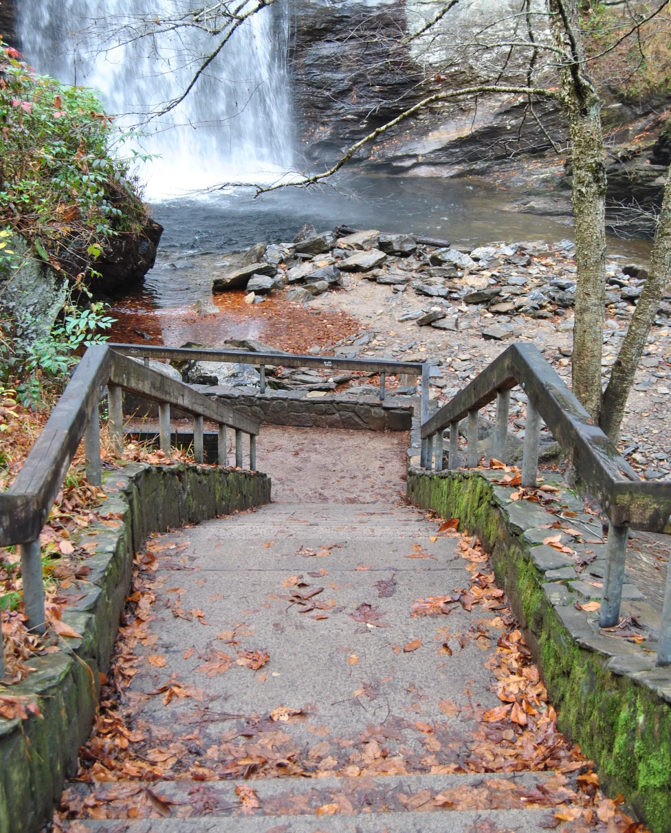 Advisor - Wonders of Western North Carolina