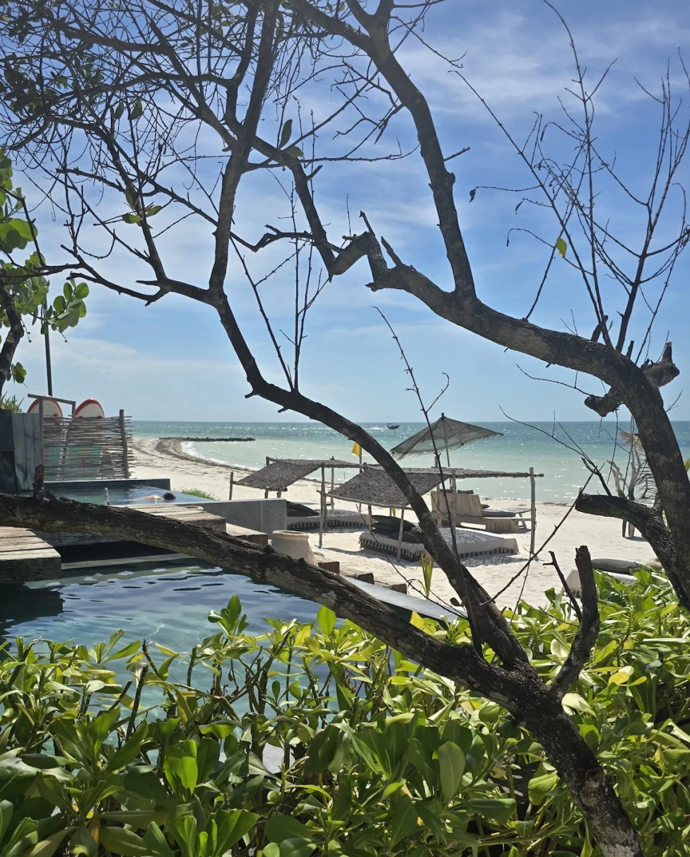 Advisor - Isla Holbox: A Tropical Paradise for Couples, Friends & Families