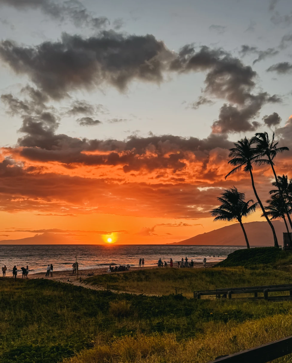 Advisor - Adventure Seekers’ Ultimate Guide to Maui, HI