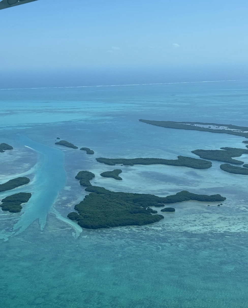 Advisor - Ambergris Caye: Island Life on the Belize Barrier Reef